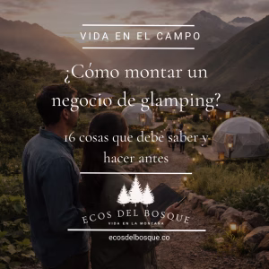 emprendimiento rentable de negocio de glamping en paisaje de montaña